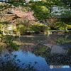 長岳寺にて