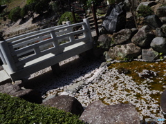 七番目の寺院・・・三十三所寺院 ラッキーセブンの岡寺。