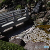 七番目の寺院・・・三十三所寺院 ラッキーセブンの岡寺。