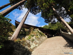 三十壱番目の寺院　８０８段を上る…長命寺(;'∀')