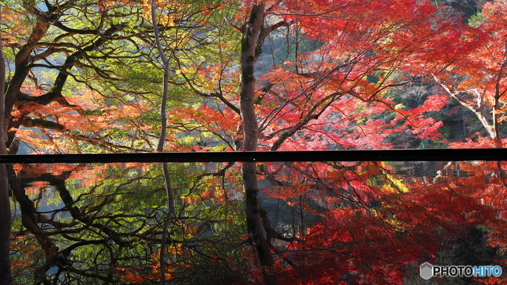 晩秋の京散歩Ⅲ　祐斎亭３