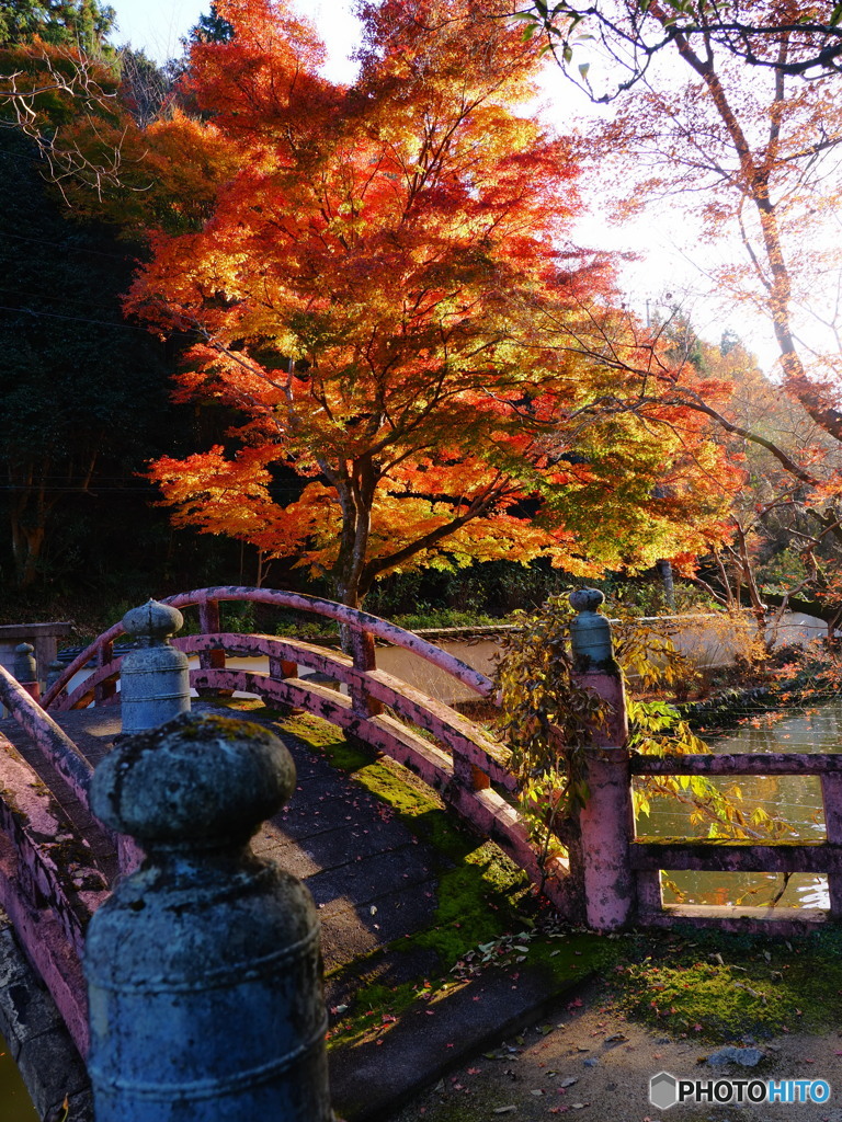 山寺と紅葉 参