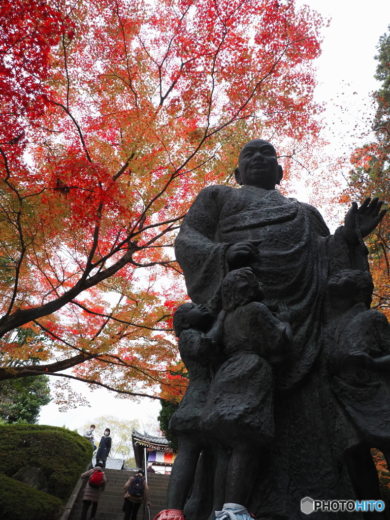 晩秋の京散歩Ⅴ  今熊野 観音寺３