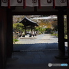 七番目の寺院・・・三十三所寺院 ラッキーセブンの岡寺