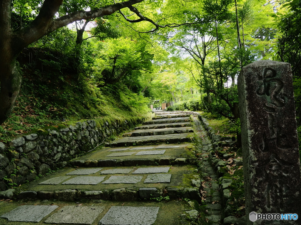 化野念仏寺にてⅡ