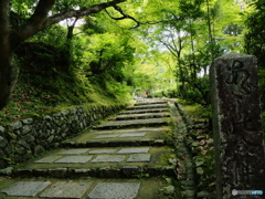 化野念仏寺にてⅡ