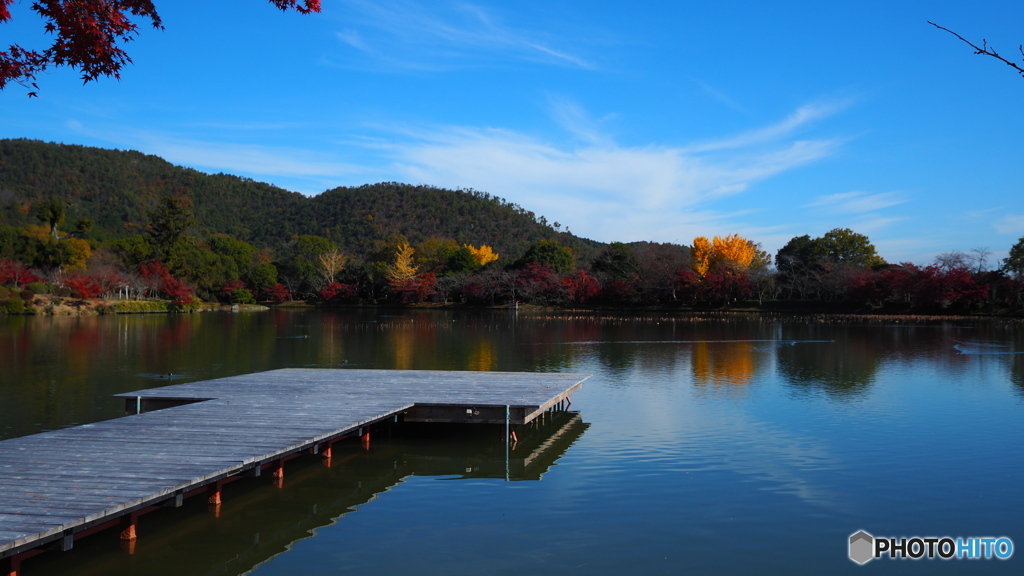 晩秋の京散歩Ⅳ　池巡り弐題  ２