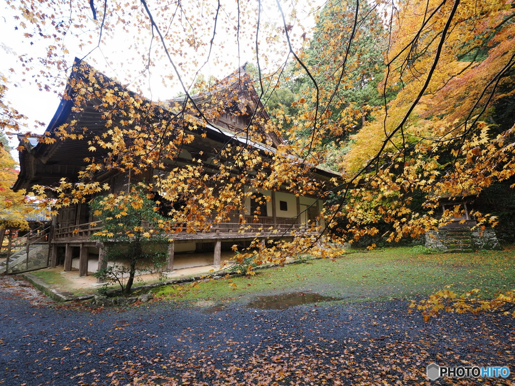 紅葉散歩百済寺 九