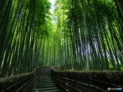 化野念仏寺にてⅡ