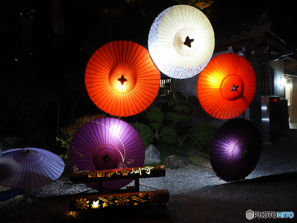 七番目の寺院…ラッキー７の岡寺  紅葉ライトアップ