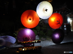 七番目の寺院…ラッキー７の岡寺  紅葉ライトアップ