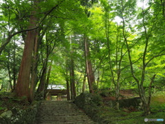 緑の中の寺院散策～百済寺