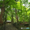 緑の中の寺院散策～百済寺