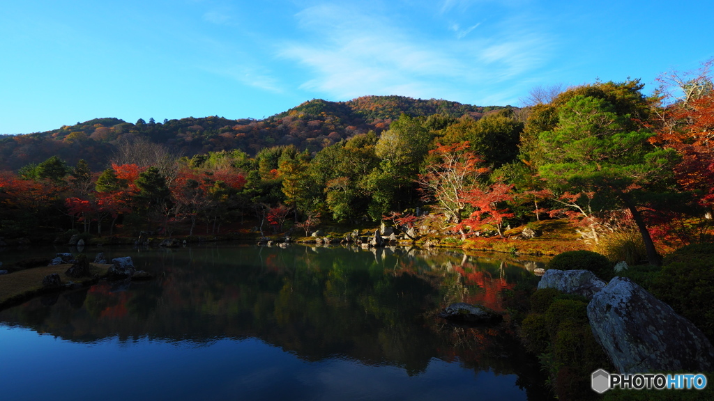 晩秋の京散歩Ⅳ　池巡り弐題  １