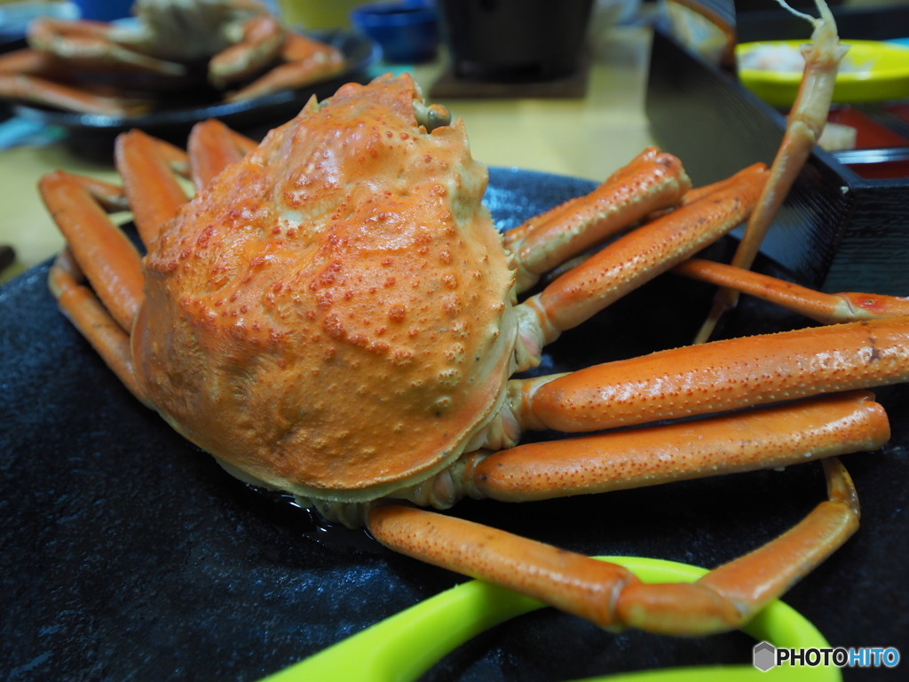 今度は冬の味覚登場！