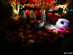 七番目の寺院…ラッキー７の岡寺  紅葉ライトアップ