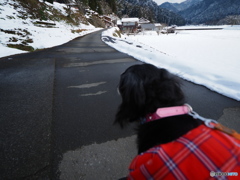 新年特大号　冬の京散歩～美山～四