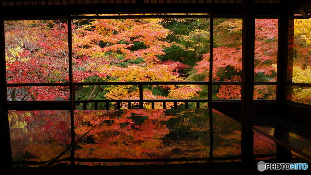 晩秋の京散歩Ⅰ　瑠璃光院③