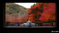 晩秋の京散歩Ⅰ 　瑠璃光院①