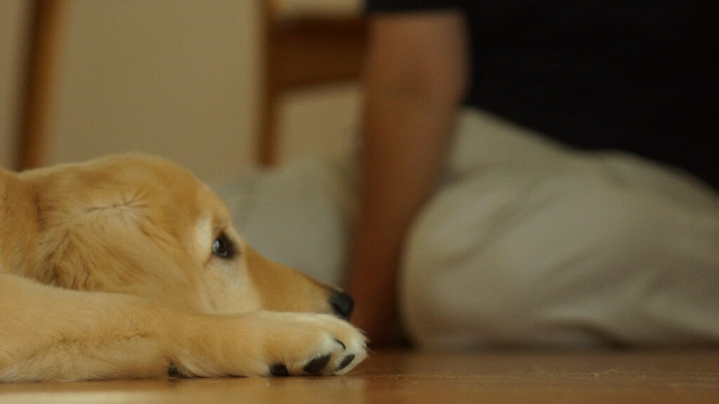 お部屋でまったりと１２