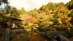 京都の旅４７