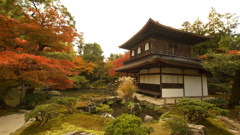 京都の旅４５
