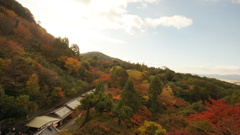京都の旅２９