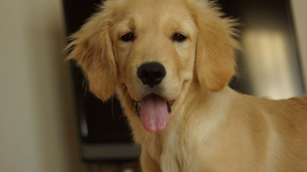 お部屋でまったりと６