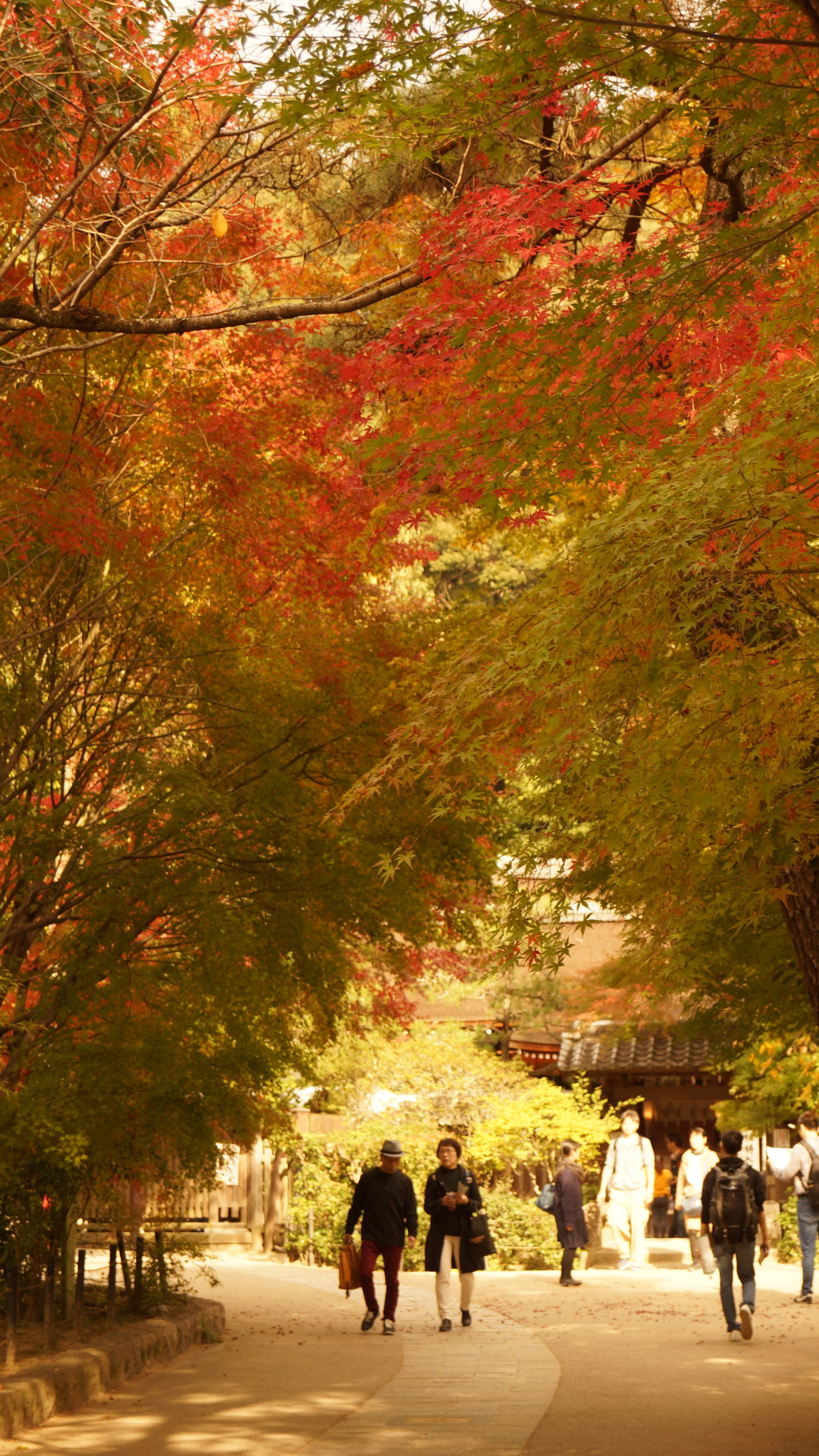 京都の旅１３