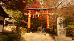 京都の旅１１