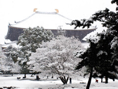 雪の東大寺
