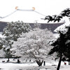 雪の東大寺