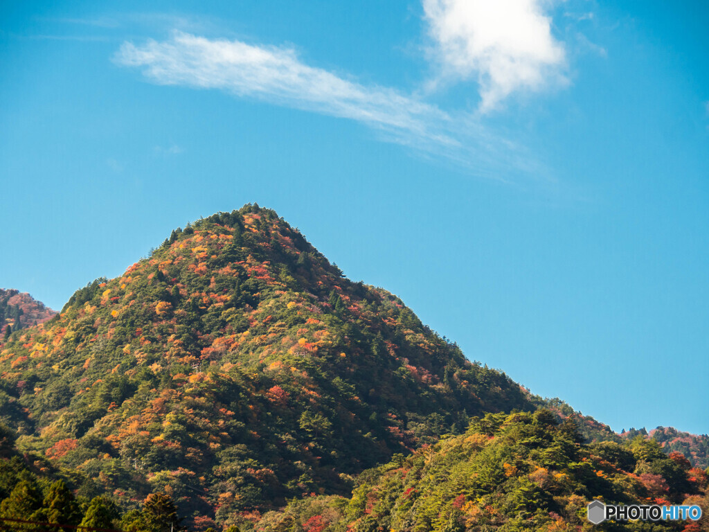 秋色の御在所岳