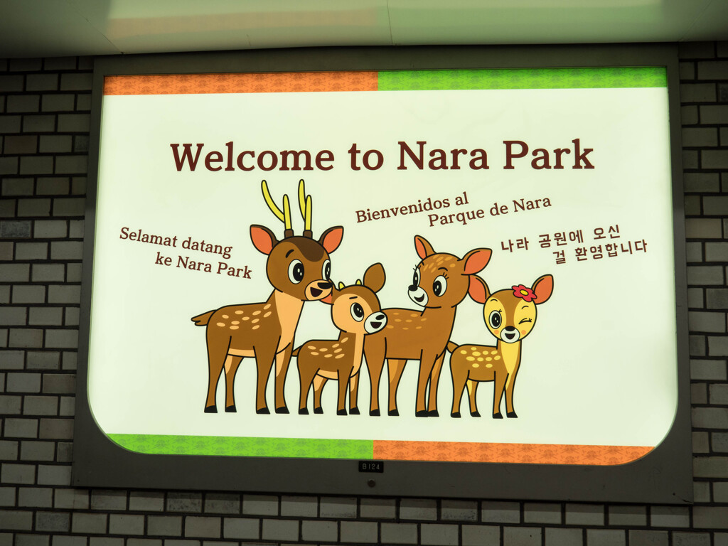 ようこそ奈良へ