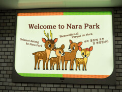 ようこそ奈良へ
