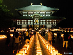 東大寺大仏殿万灯供養会