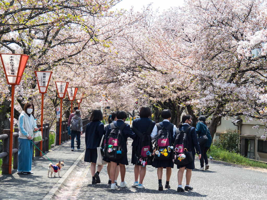 新学期なう