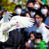 神戸どうぶつ王国（2）