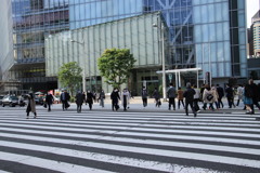 横断歩道