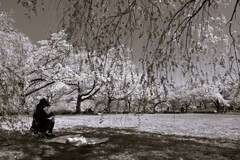 桜の下で
