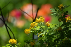 引き立てられて