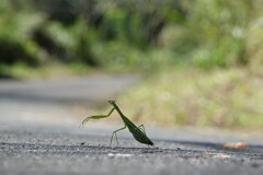 注意