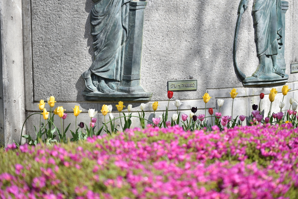 しばし足元を飾る