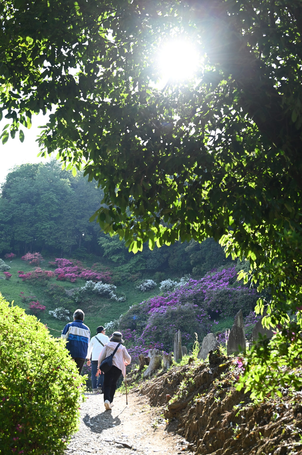 つつじ公園Ⅰ