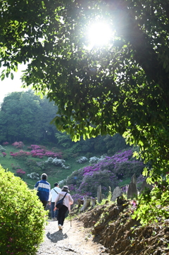 つつじ公園Ⅰ
