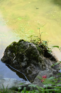 岬？