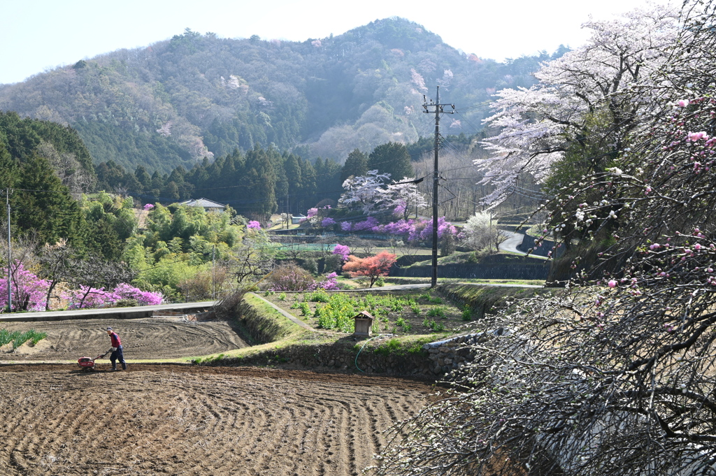 山里の春Ⅰ