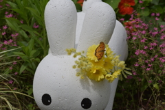 うさちゃんと蝶