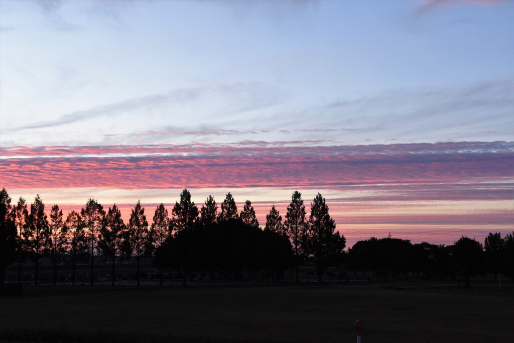 夕暮れⅡ