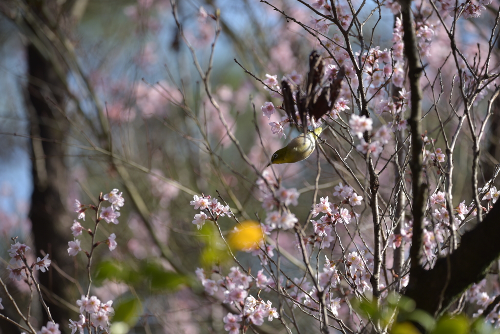 出会えました～